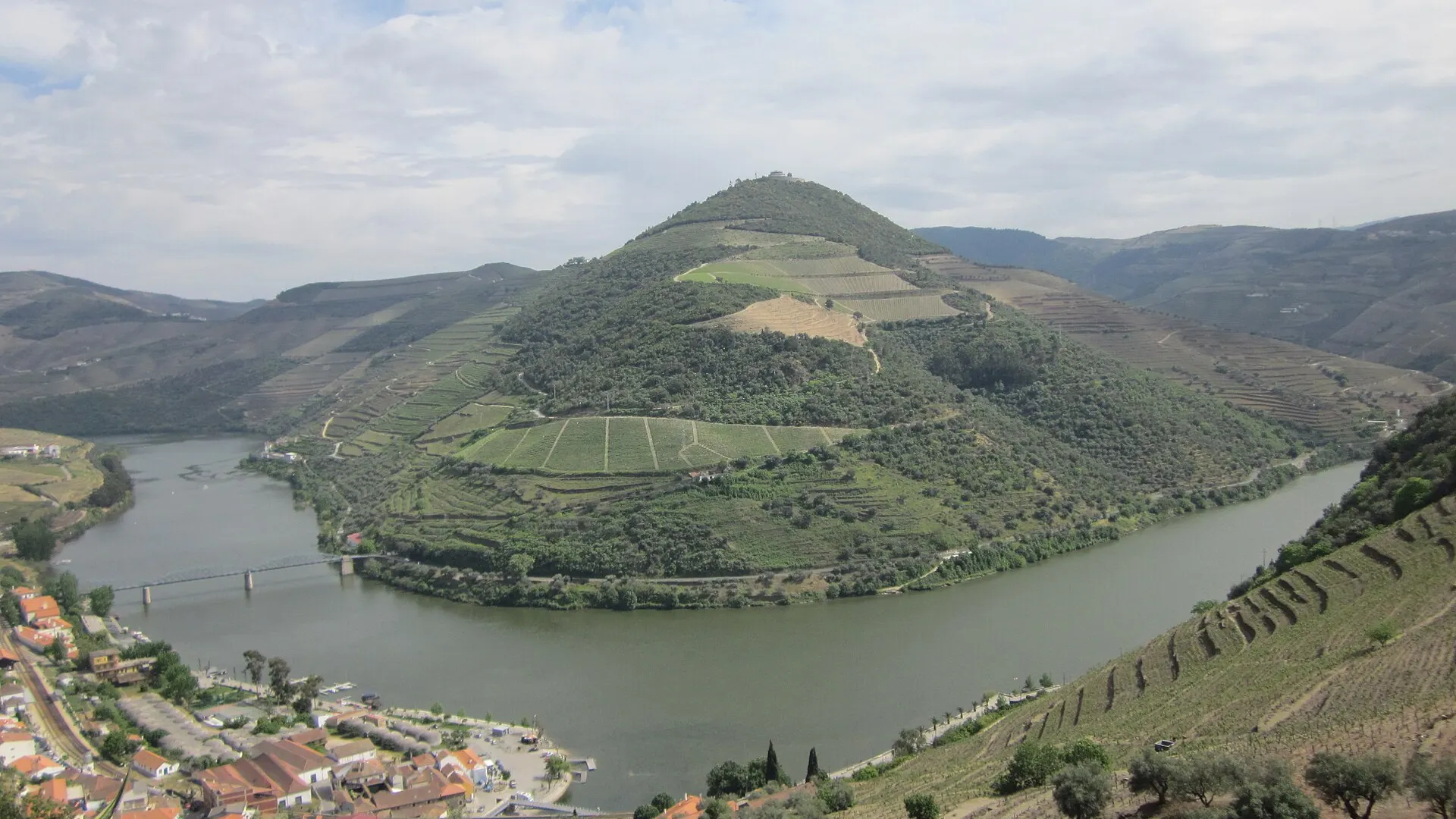 Dolina Douro – vinogradi na terasama iznad reke kod Pinjaoa, Portugal