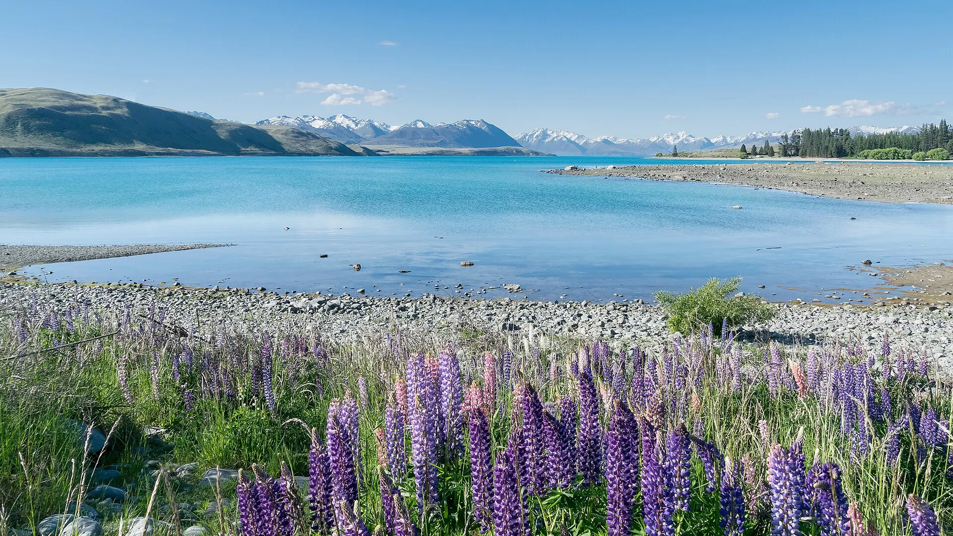 Lake Tekapo, Novi Zeland — jezero