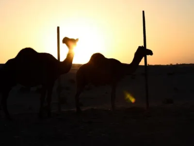 Abu Dabi — Abu Dabi – Luksuz, Kultura i Mir Orijenta