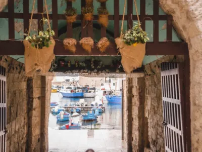 Algero — Algero avionom – Biser Sardinije na obali Mediterana
