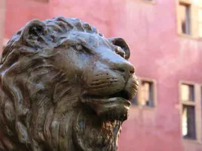 Lion — Lion avionom – Kulturna prestonica Francuske i grad gastronomije