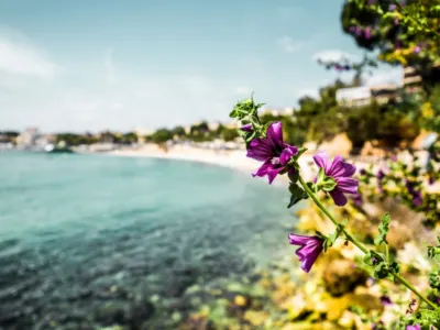 Nica — Nica avionom – Francuski glamur na Mediteranu