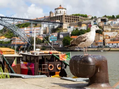 Porto — Porto avionom – Grad vina, mostova i romantike