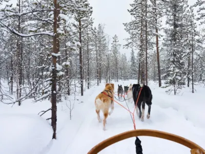 Rovaniemi — Rovaniemi – Prestonica Laponije i rodni grad Deda Mraza