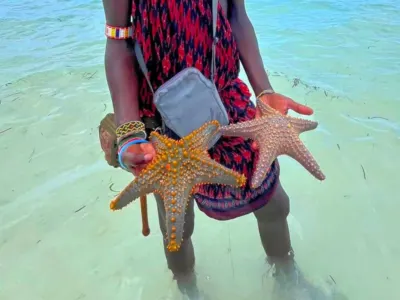 Zanzibar — Zanzibar – Ostrvo začina i rajskih plaža