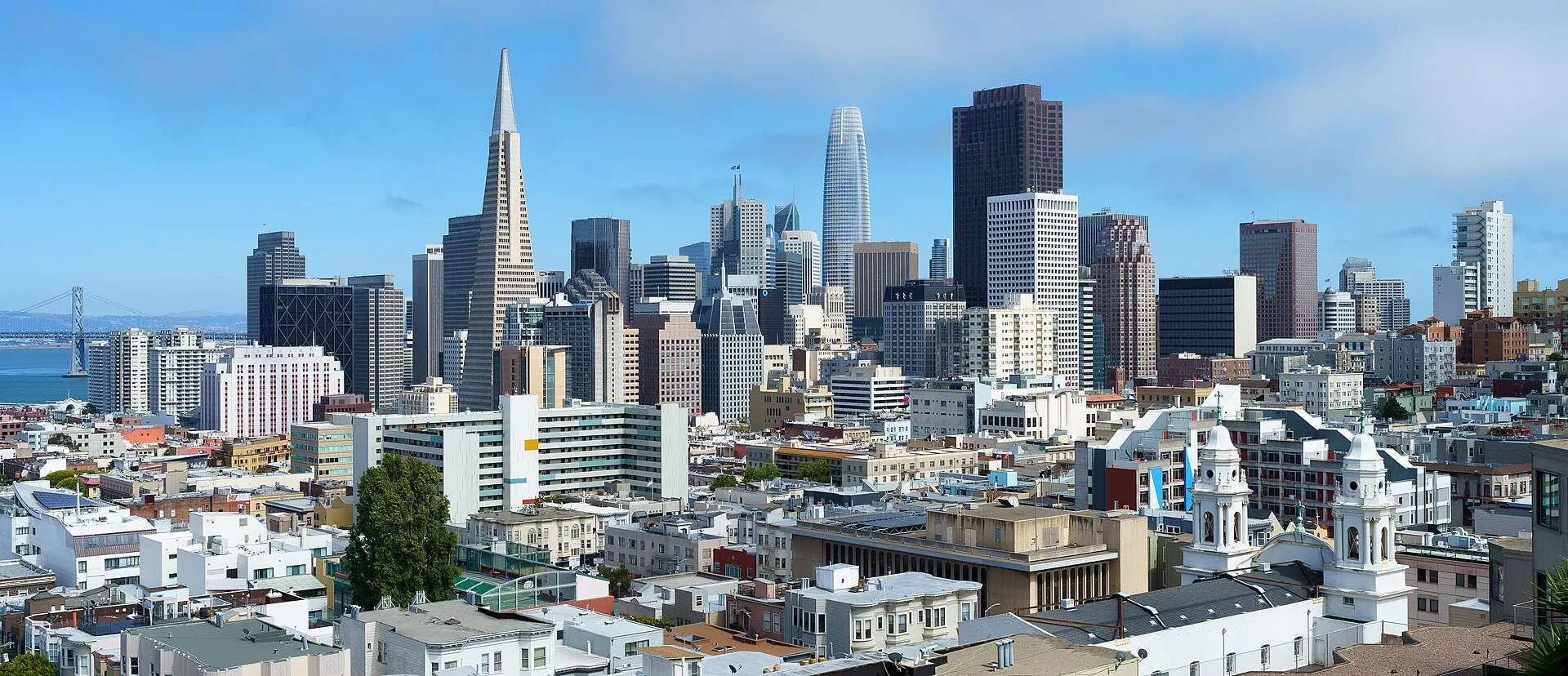 San Francisco, SAD — panorama grada, park, pogled